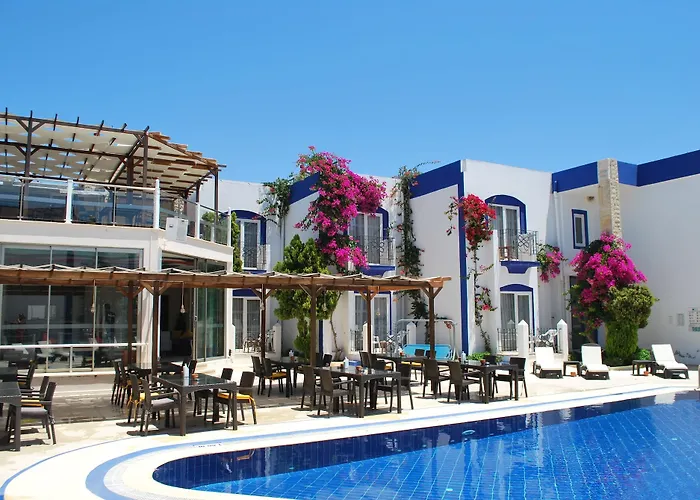 Serpina (adults Only)