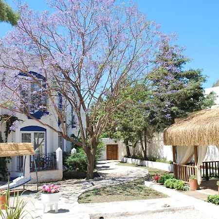 Serpina (adults Only) Hotel 3*