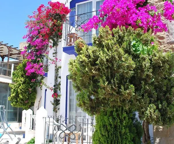 Serpina (adults Only) Hotel Bodrum