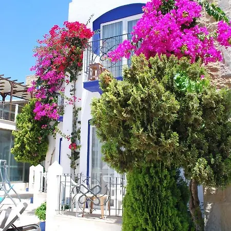 Serpina (adults Only) Hotel Bodrum