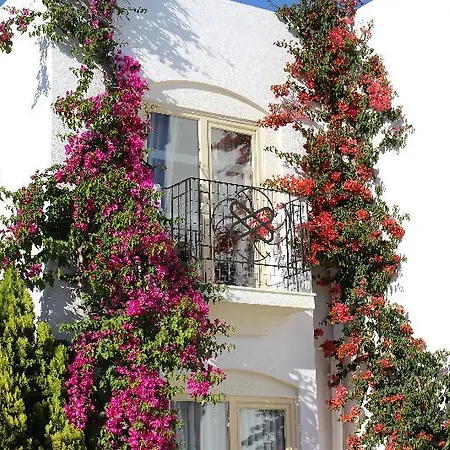Ξενοδοχείο Serpina (adults Only)