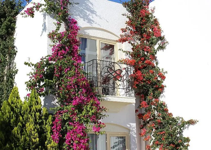 Otel Serpina (adults Only)